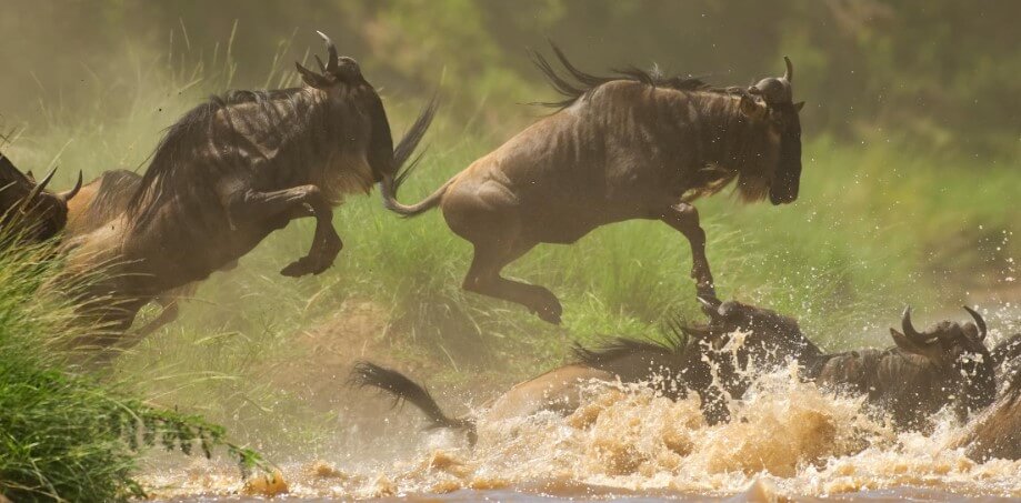 TANZANIA