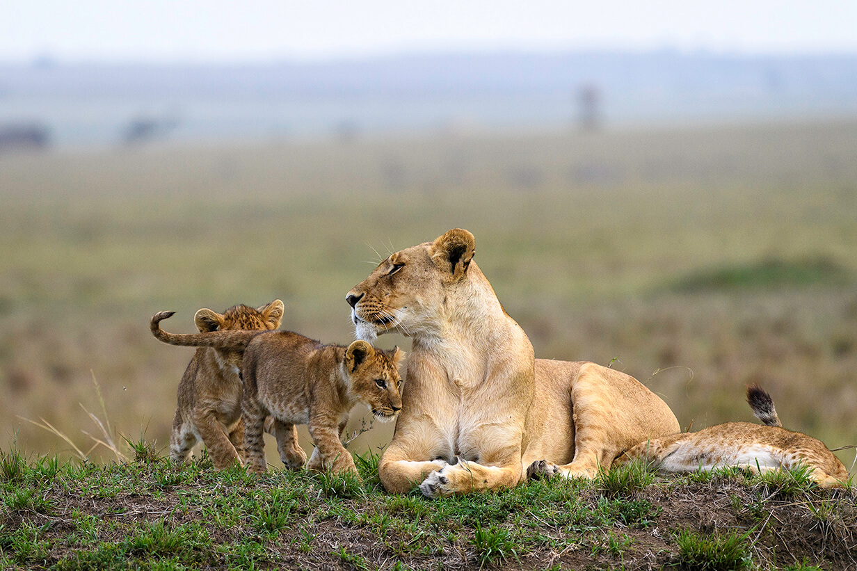 KENYA