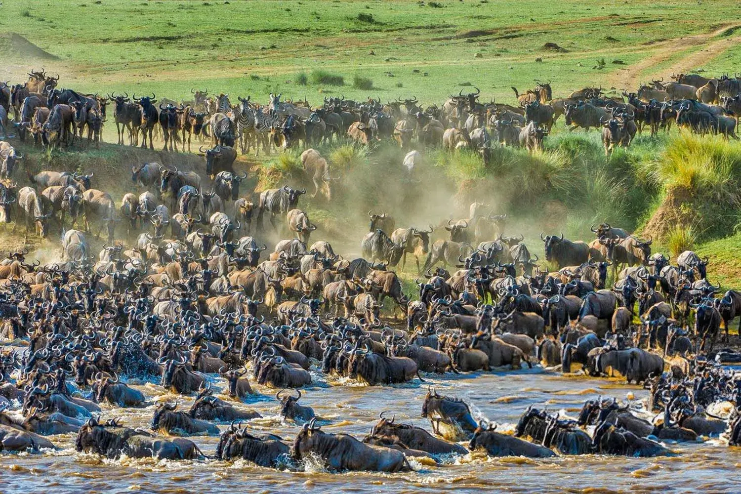 4 Days Masai Mara Migration Safari