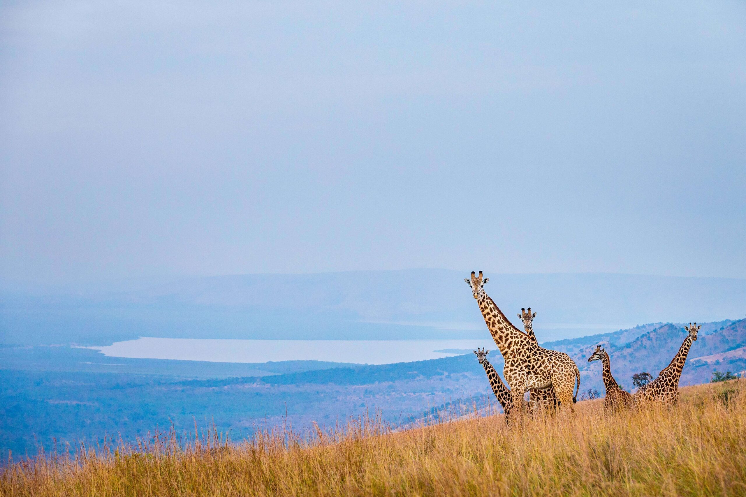 2 Days Akagera National Park Safari 