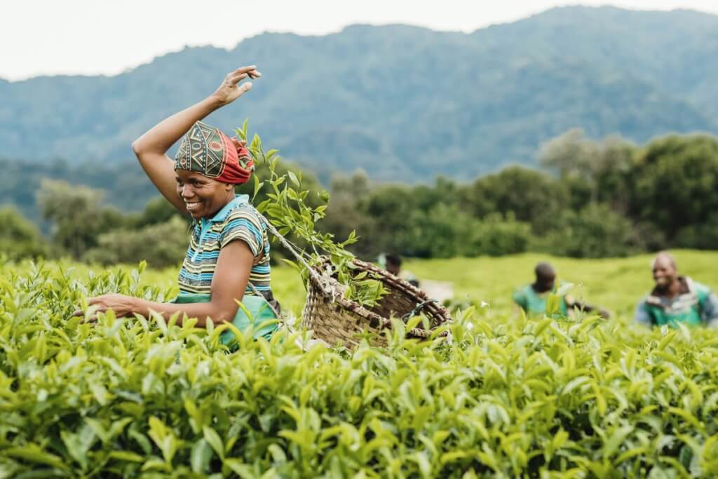 6 Days Cultural Safari in Rwanda